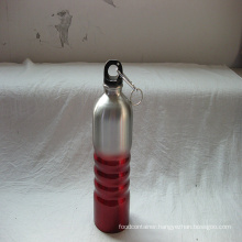 Stainless Steel Water Bottle (CL1C-GS12)